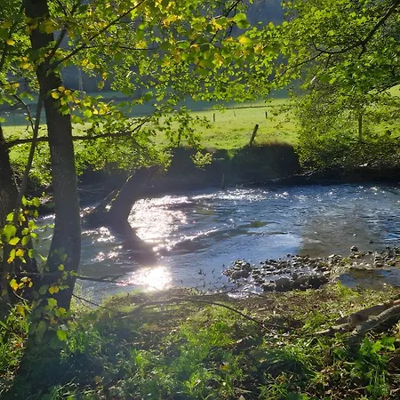 Maison Petit Coin De Paradis La Chapelle-d'Aligne