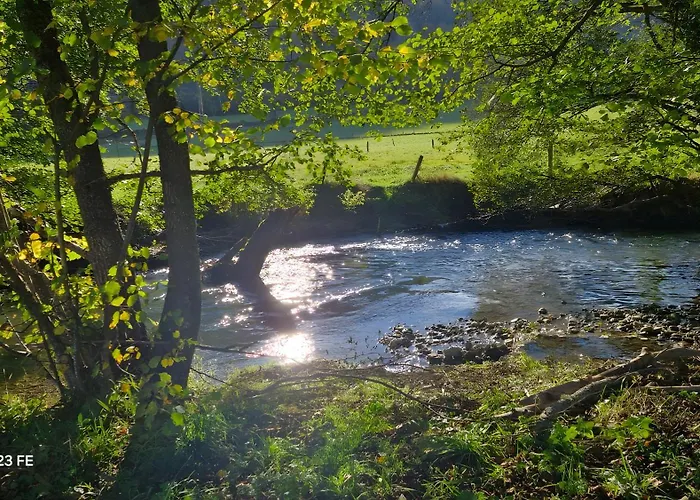 Maison Petit Coin De Paradis La Chapelle-d'Aligne
